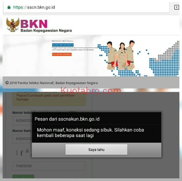 Website SSCN BKN Tidak bisa dibuka
