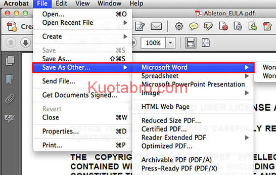 11 Cara Mengubah File PDF ke Word (Online & Offline) - 3.1