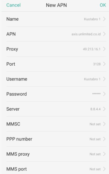 Setting APN AXIS Tercepat - Cara Setting APN AXIS pada Android 3