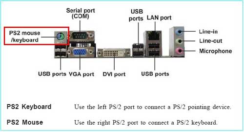 PS/ 2 Mouse Port