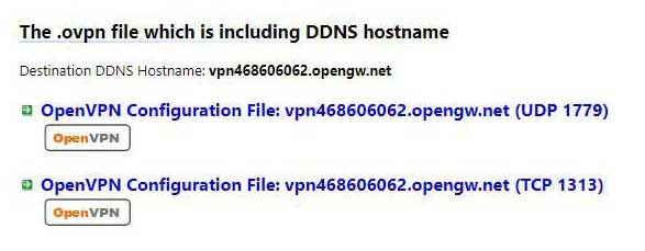 OpenVPN Configuration File