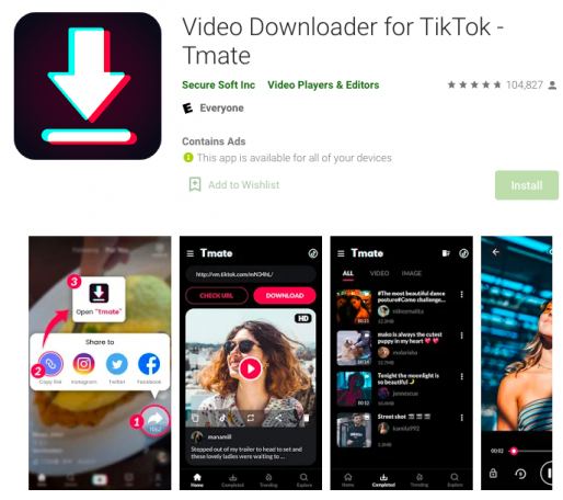 tiktok mp4 downloader no watermark